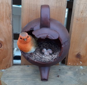 HANGING ROBINS NEST IN TEAPOT